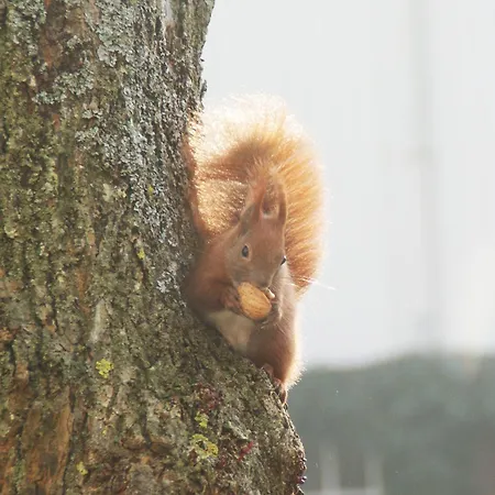 Im Stelle-Wittenwurth