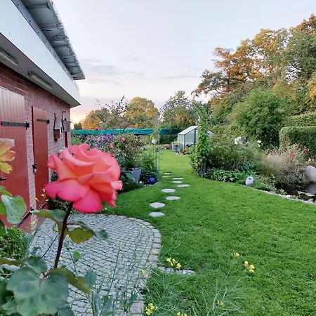 Im Апартаменты