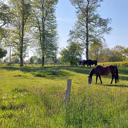 Im Апартаменты Stelle-Wittenwurth